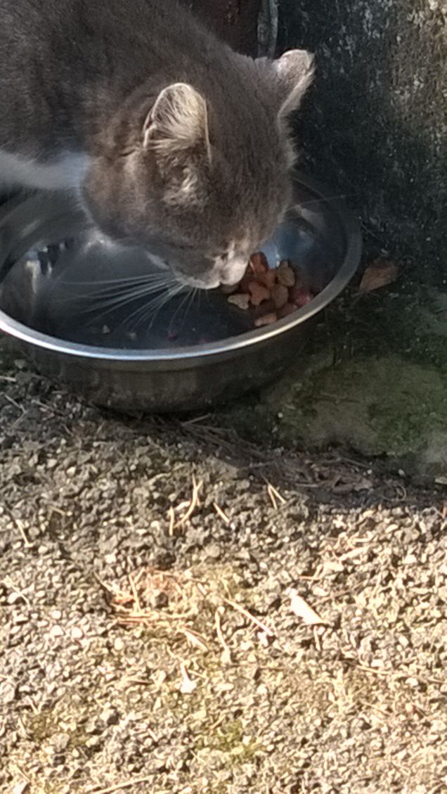 Toc toc c'è nessuno?17