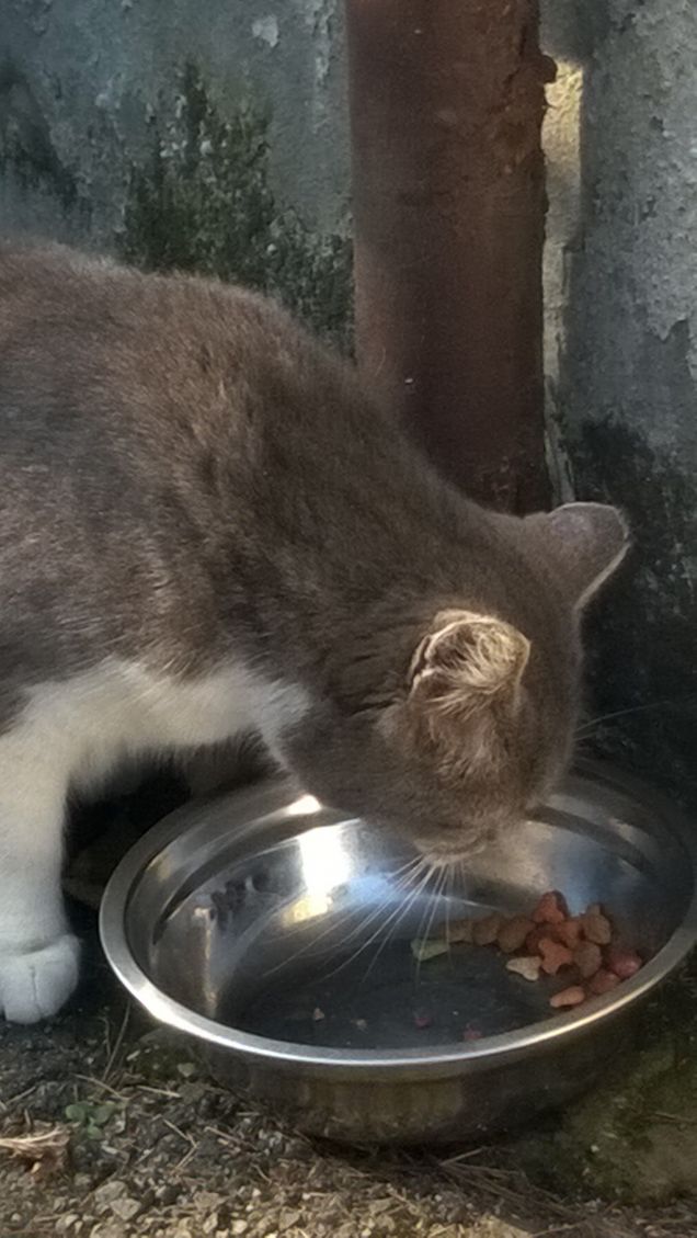 Toc toc c'è nessuno?18