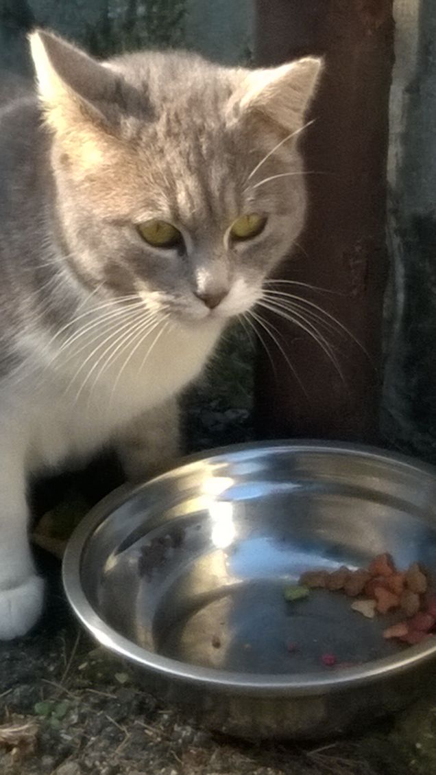 Toc toc c'è nessuno?20