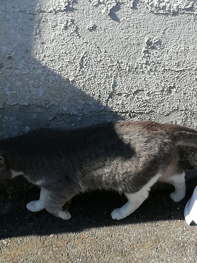 Eccomi ci sono anch'io.