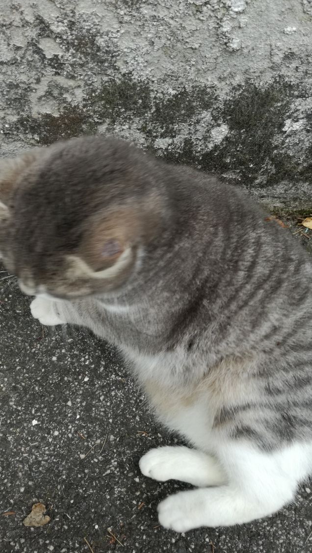 Più ti guardo più m'innamoro3