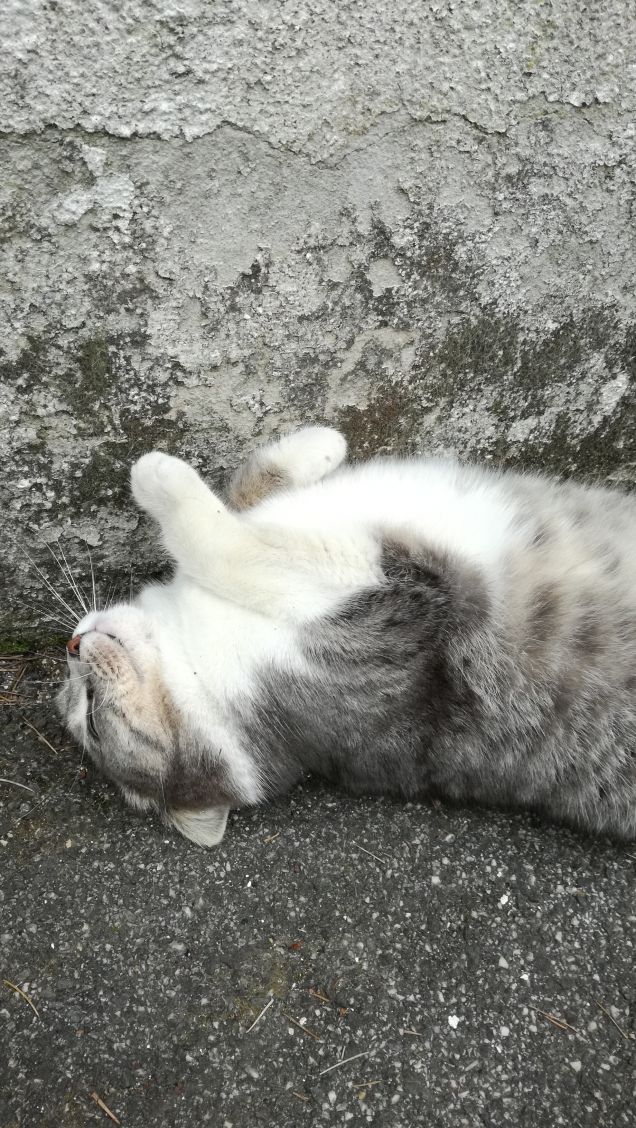 Più ti guardo più m'innamoro4