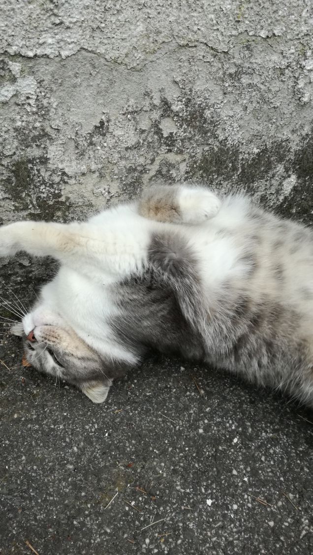 Più ti guardo più m'innamoro5