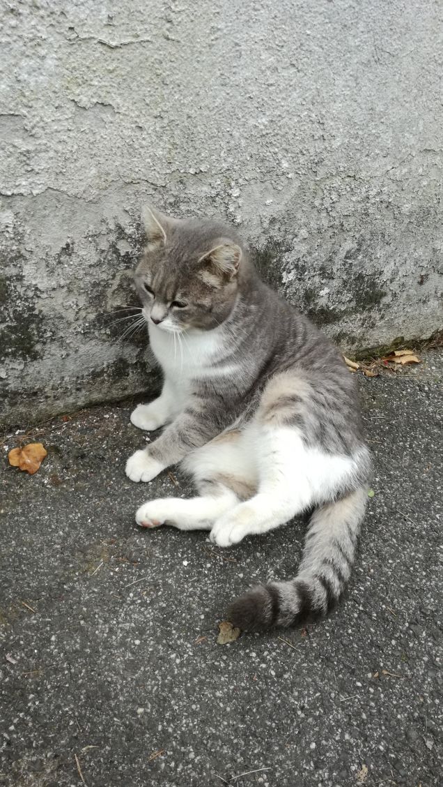 Più ti guardo più m'innamoro6