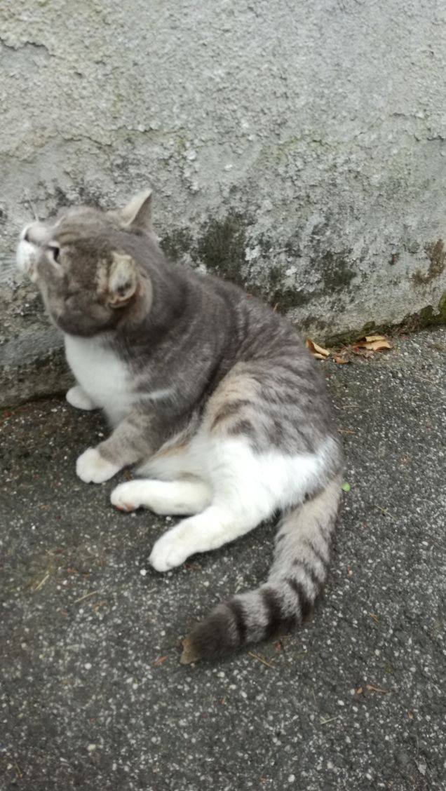 Più ti guardo più m'innamoro7