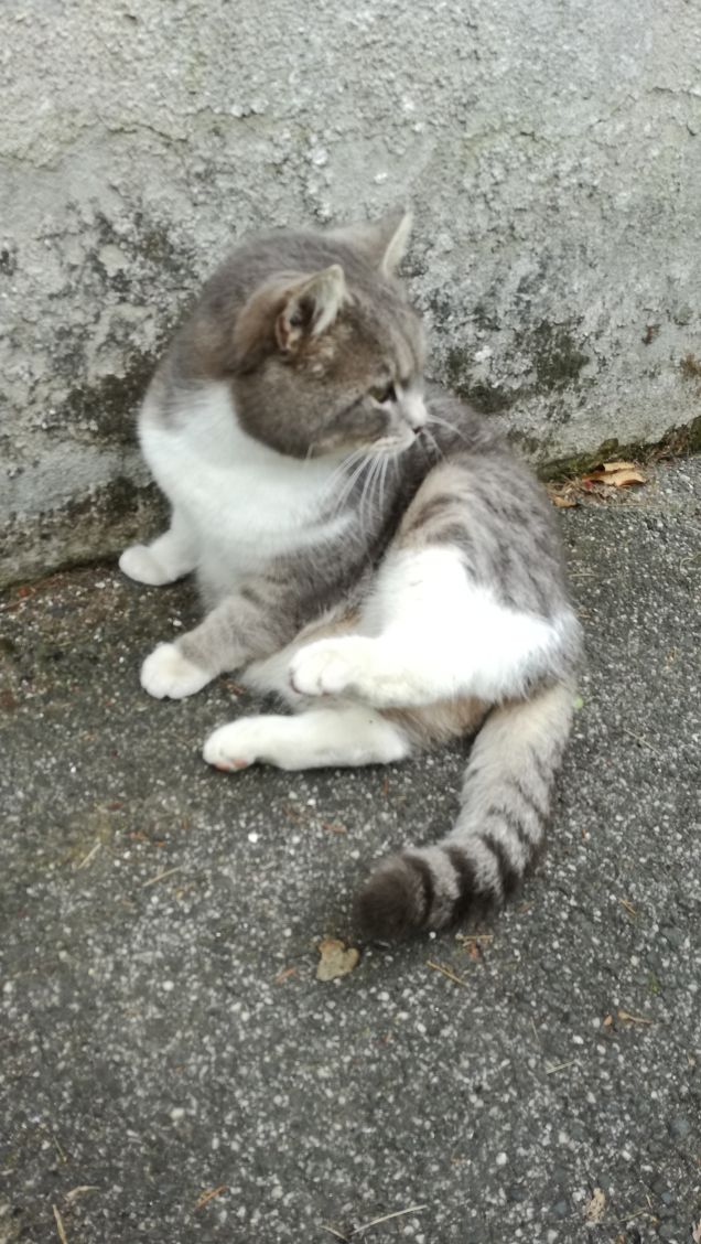 Più ti guardo più m'innamoro8