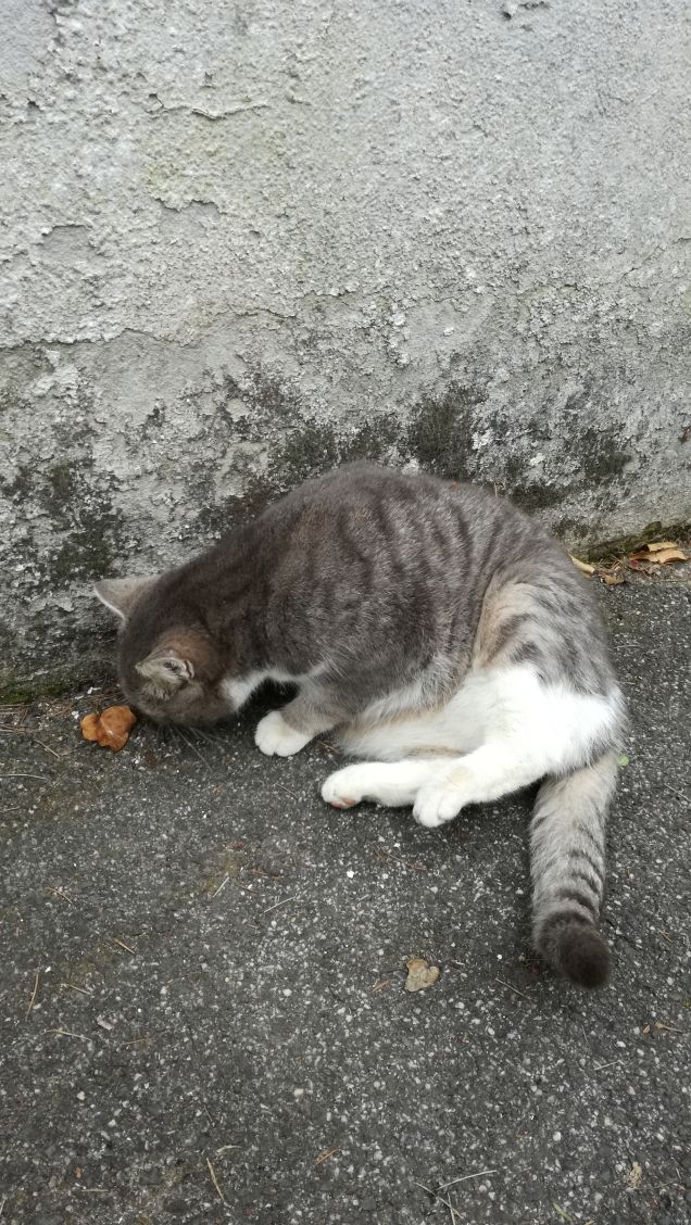 Più ti guardo più m'innamoro9