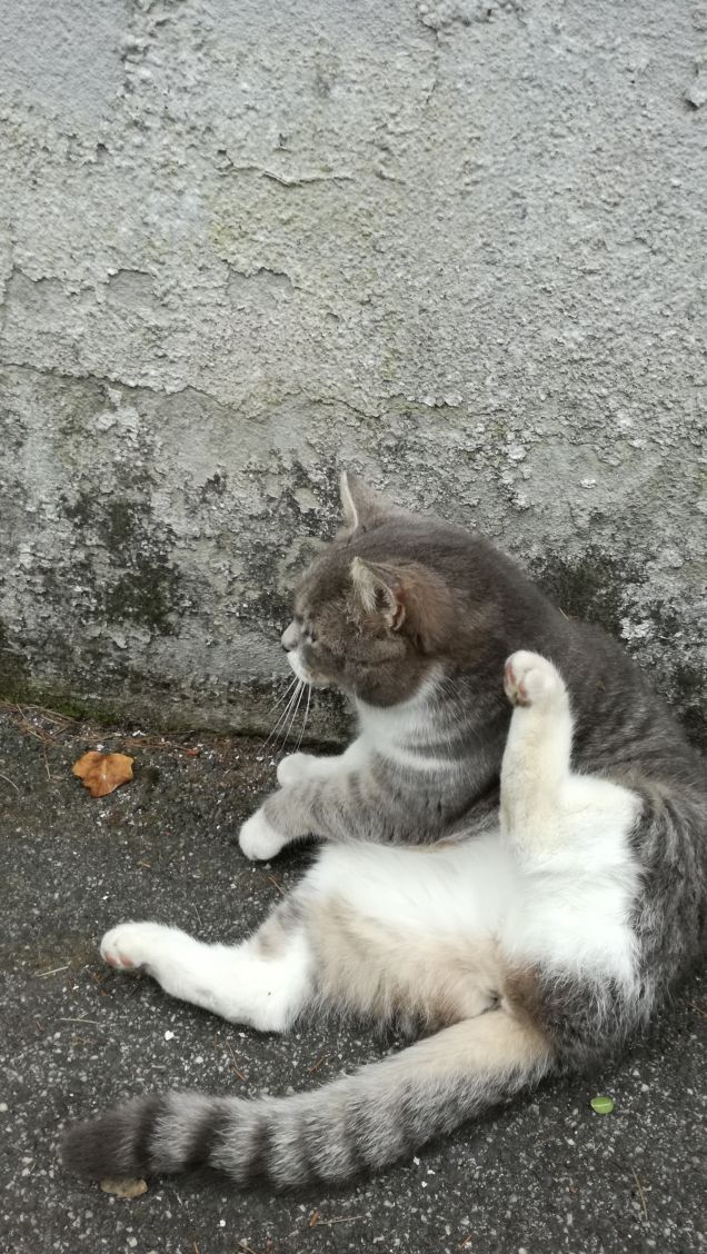 Più ti guardo più m'innamoro10