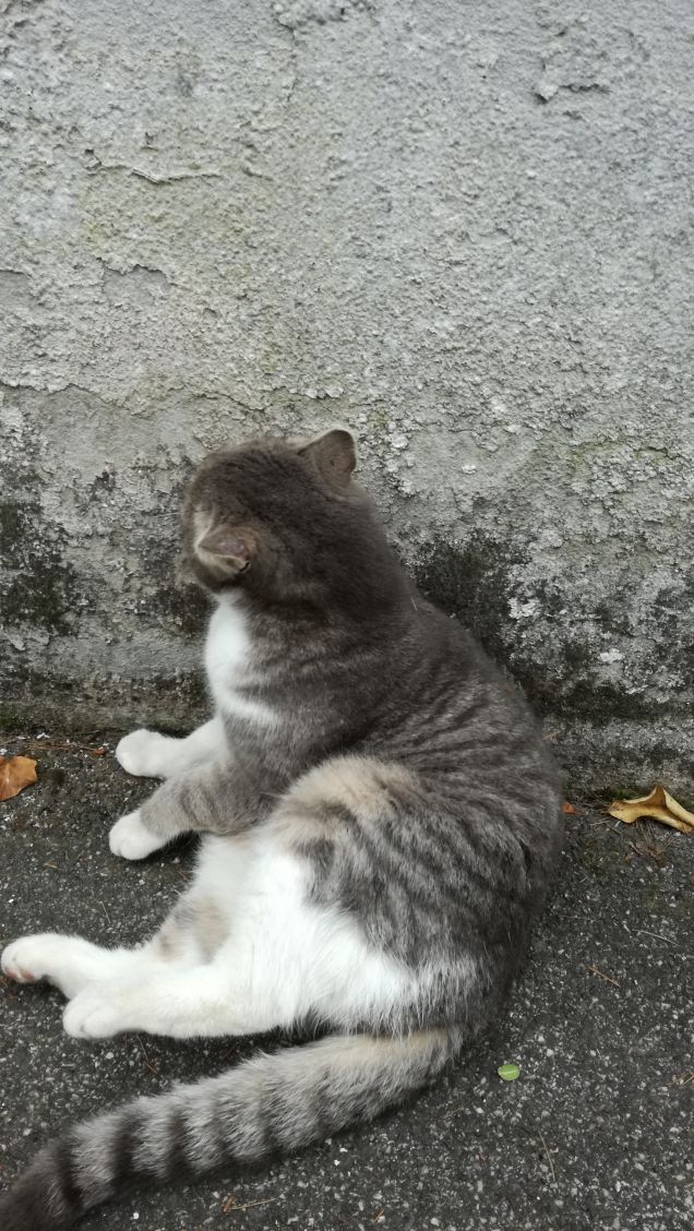 Più ti guardo più m'innamoro11