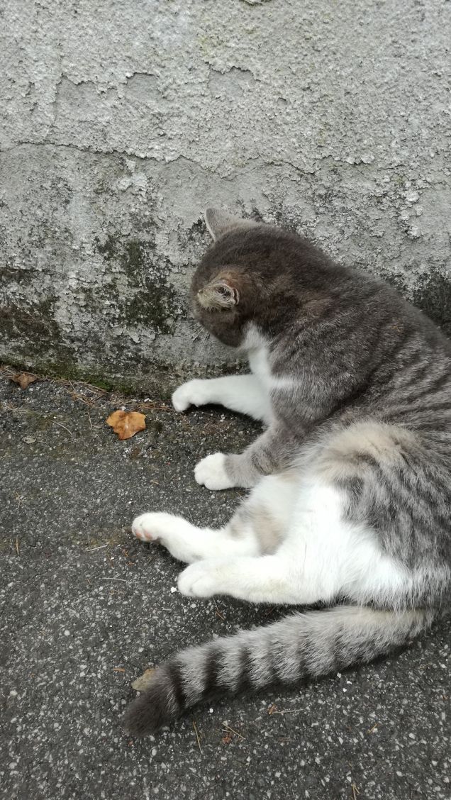 Più ti guardo più m'innamoro12