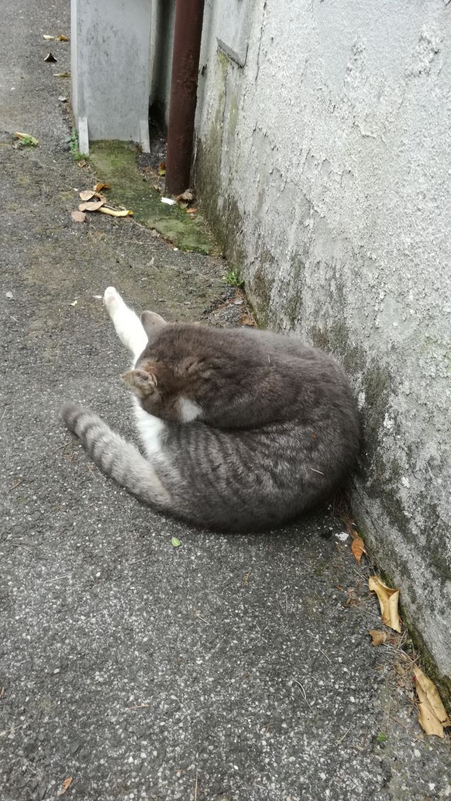 Più ti guardo più m'innamoro13