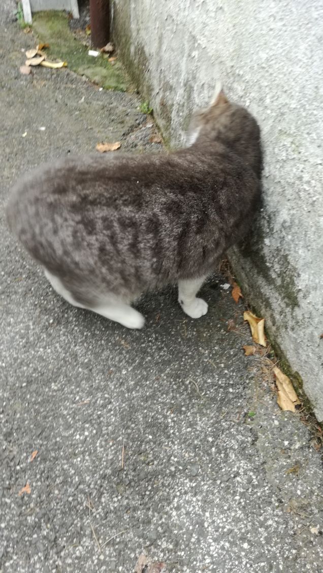 Più ti guardo più m'innamoro14