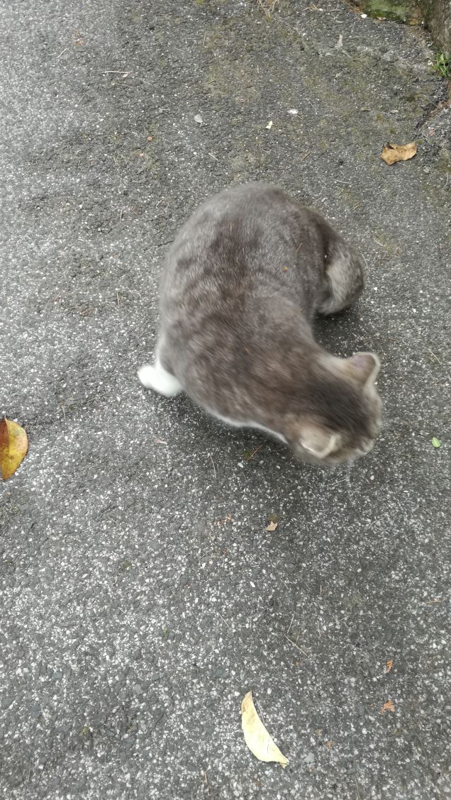 Più ti guardo più m'innamoro15