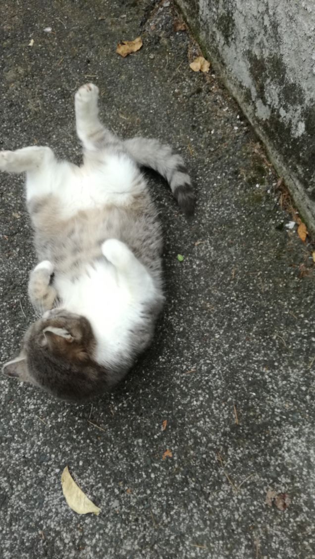 Più ti guardo più m'innamoro16