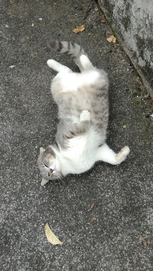 Più ti guardo più m'innamoro17