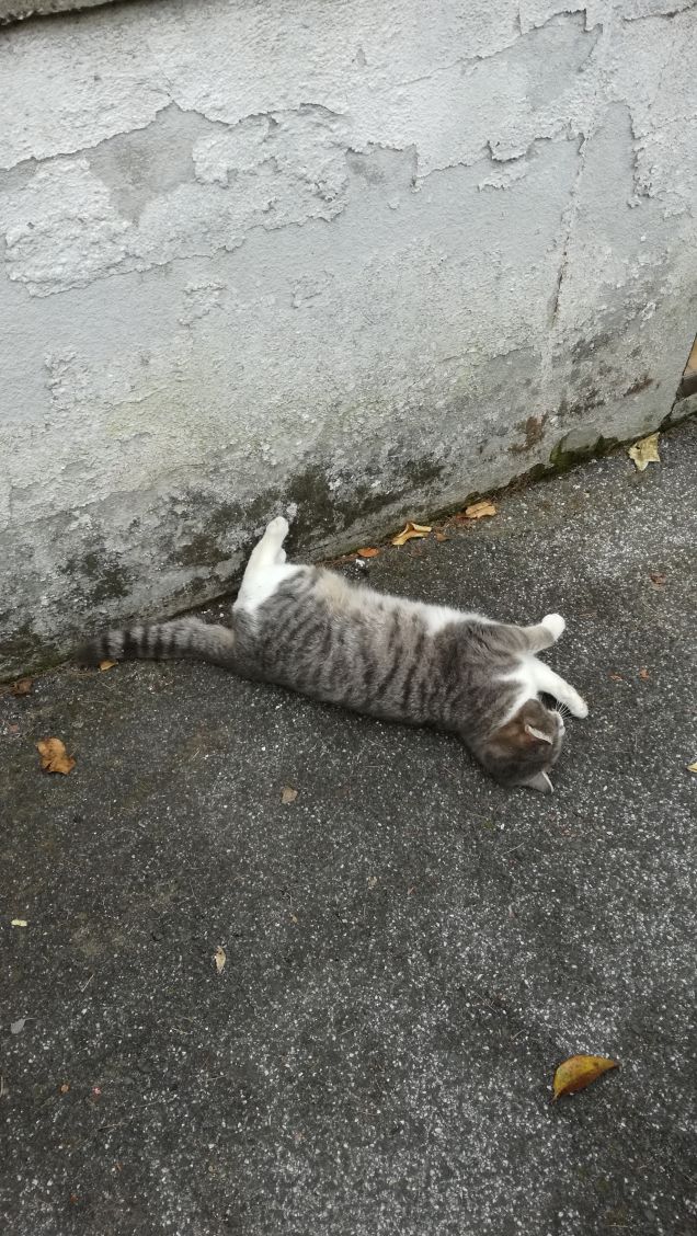 Più ti guardo più m'innamoro19