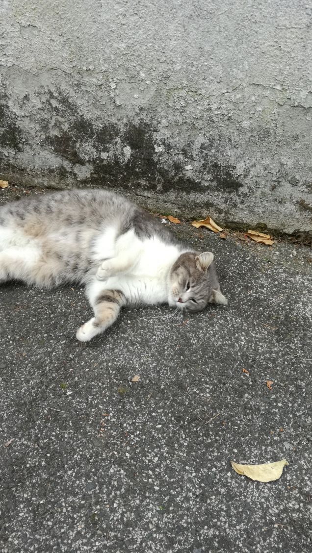 Più ti guardo più m'innamoro20