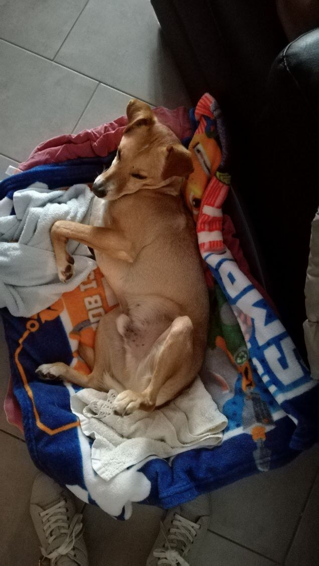 Il Venerdi di Lucky.8