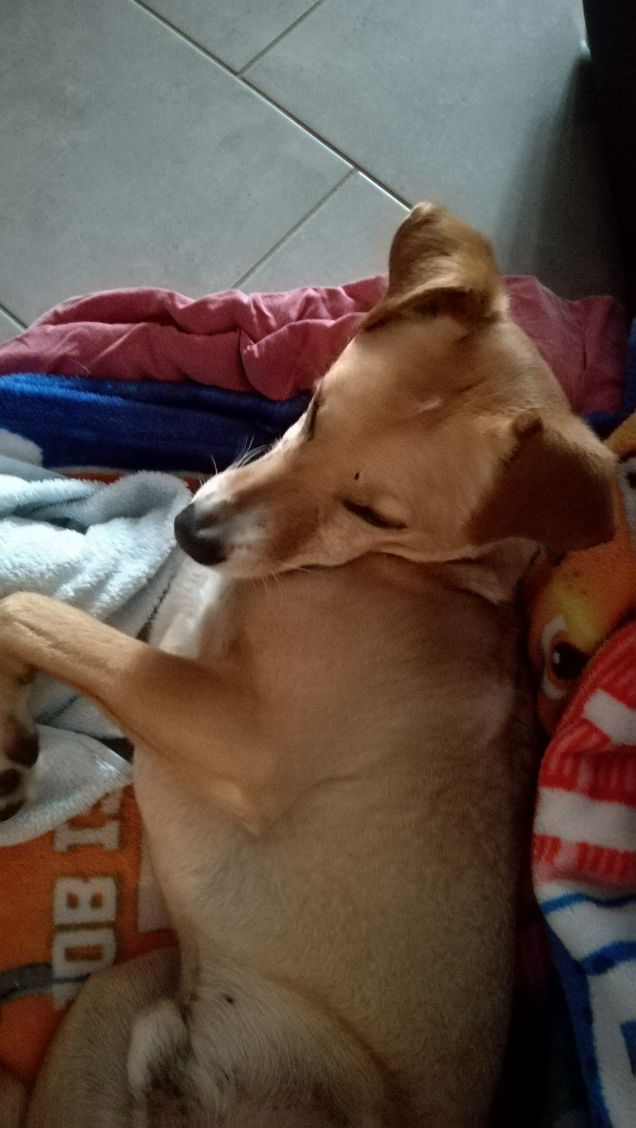 Il Venerdi di Lucky.9