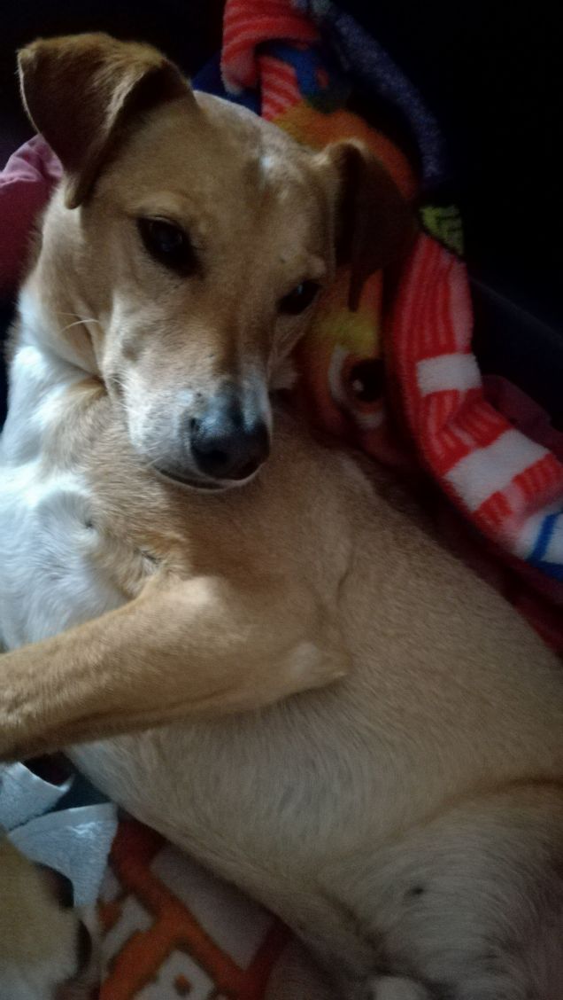 Il Venerdi di Lucky.10