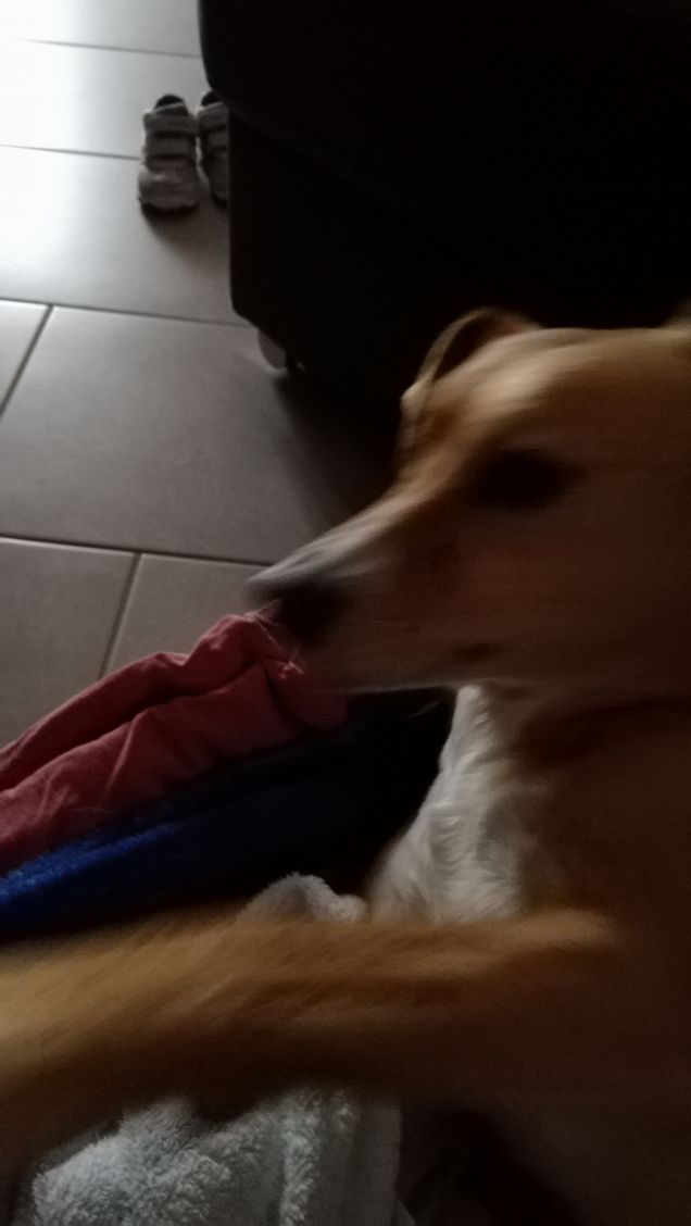 Il Venerdi di Lucky.11