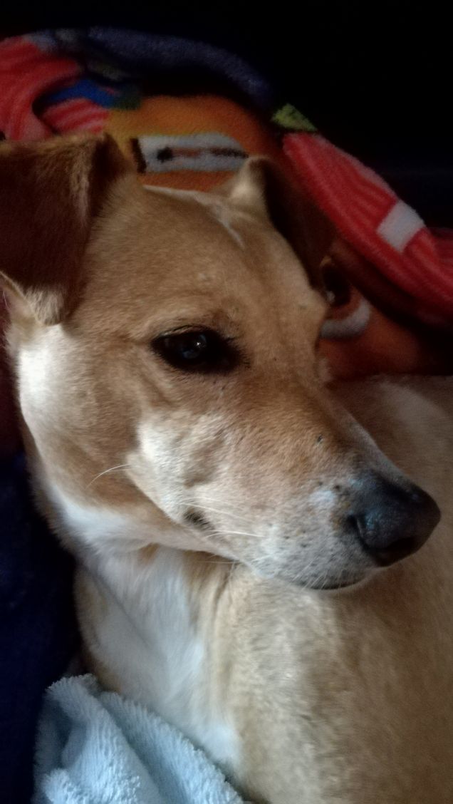 Il Venerdi di Lucky.12