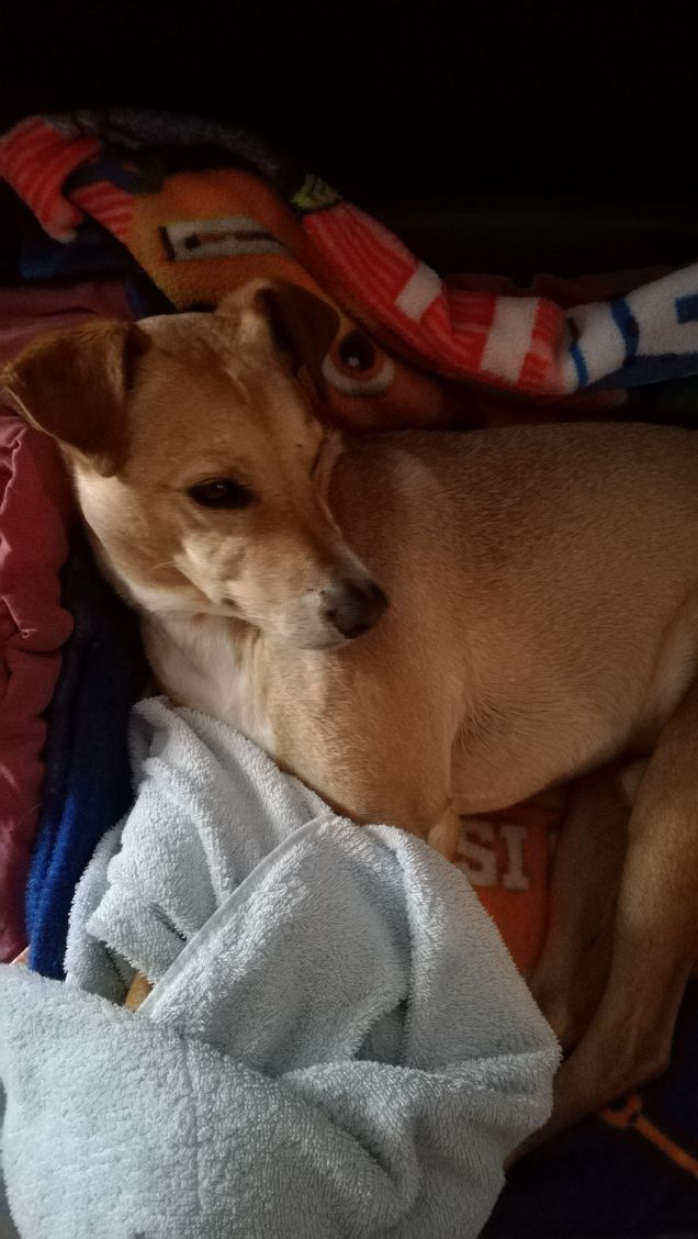 Il Venerdi di Lucky.13