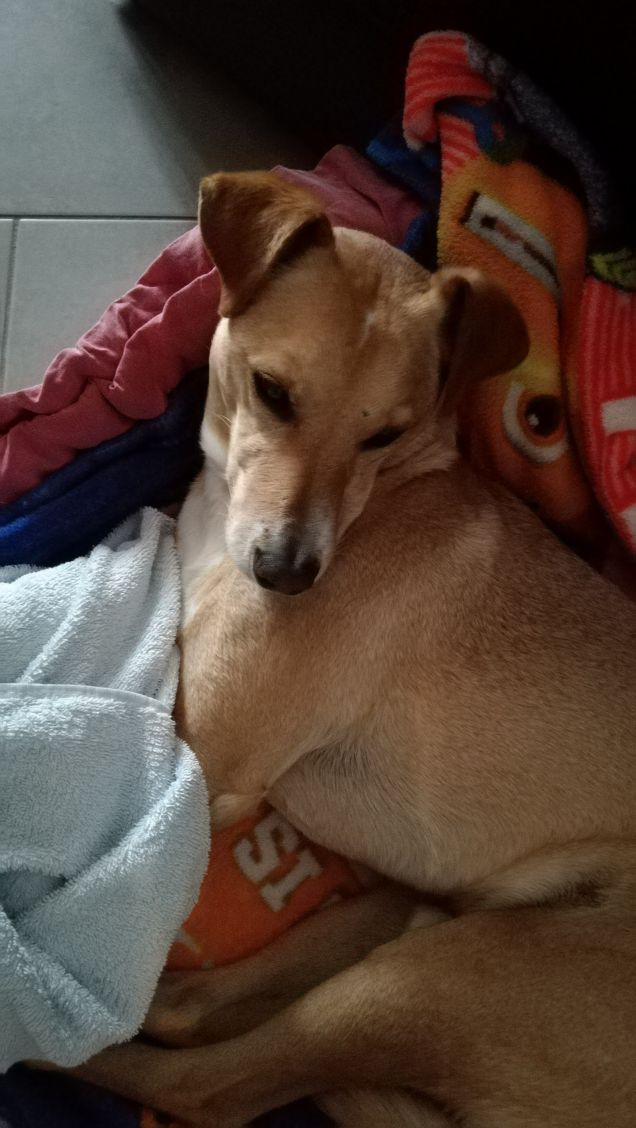 Il Venerdi di Lucky.14