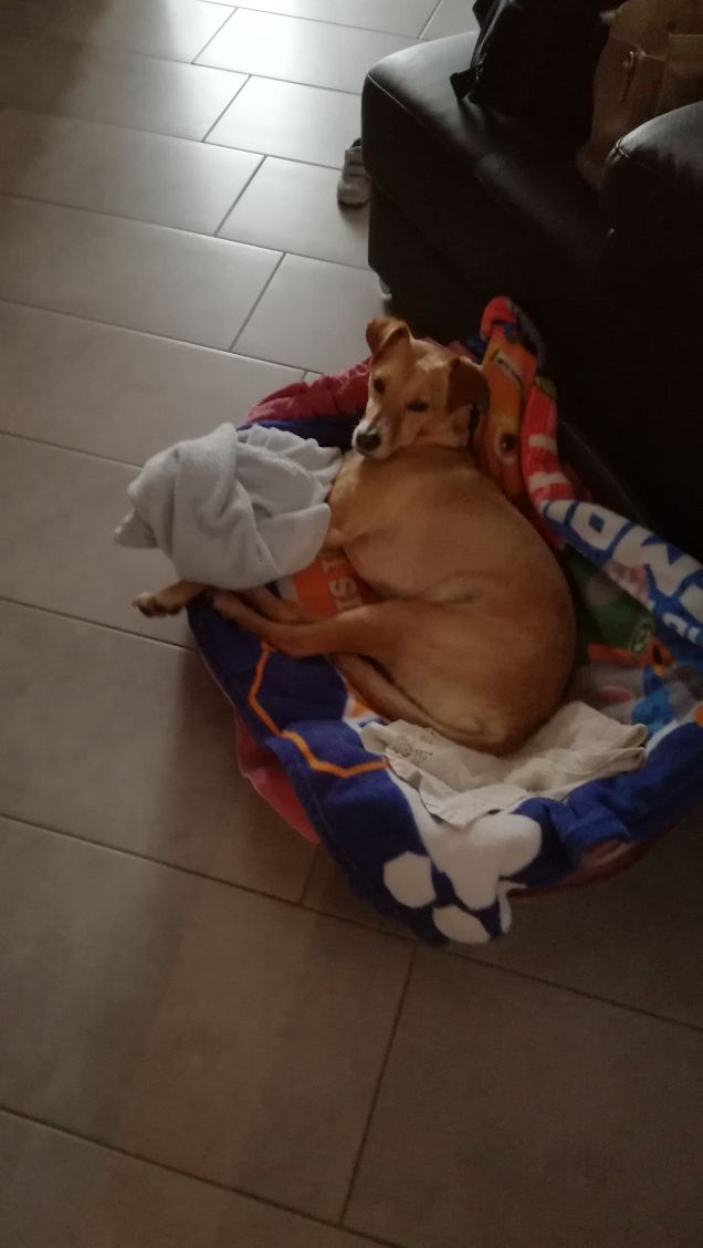 Il Venerdi di Lucky.15