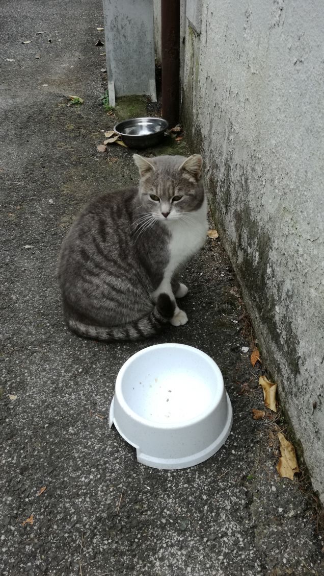 Il Venerdi di Micia.19