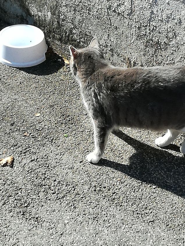 Sempre più bella.11