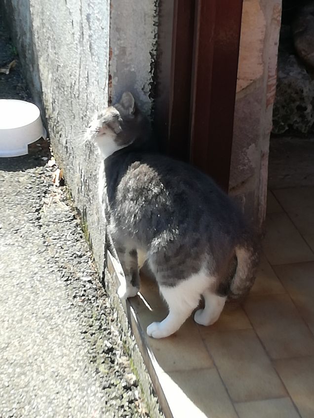 Sempre più bella.12