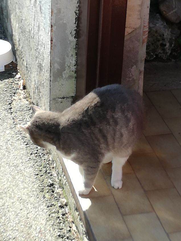 Sempre più bella.13