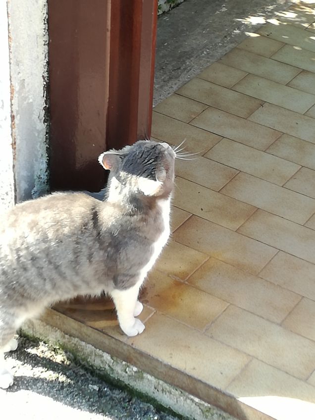 Sempre più bella.14