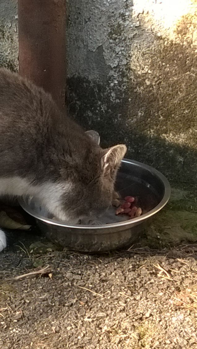 Sempre più bella.15