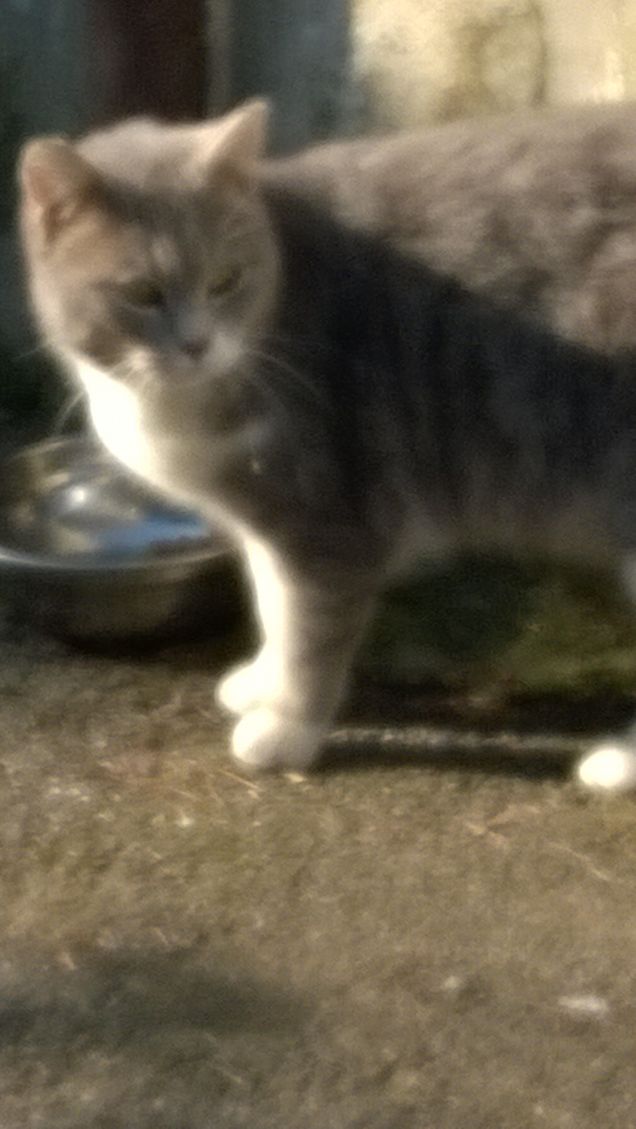 Sempre più bella.18