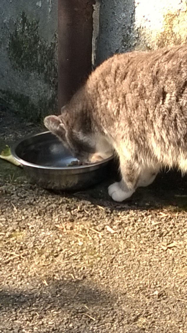 Sempre più bella.19