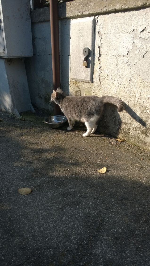 Sempre più bella.20