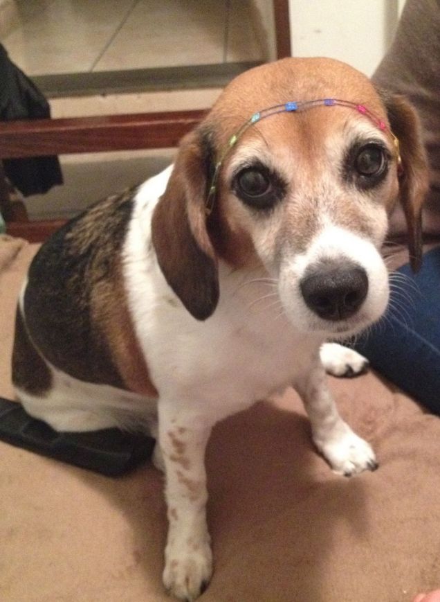 Sasha principessa :)