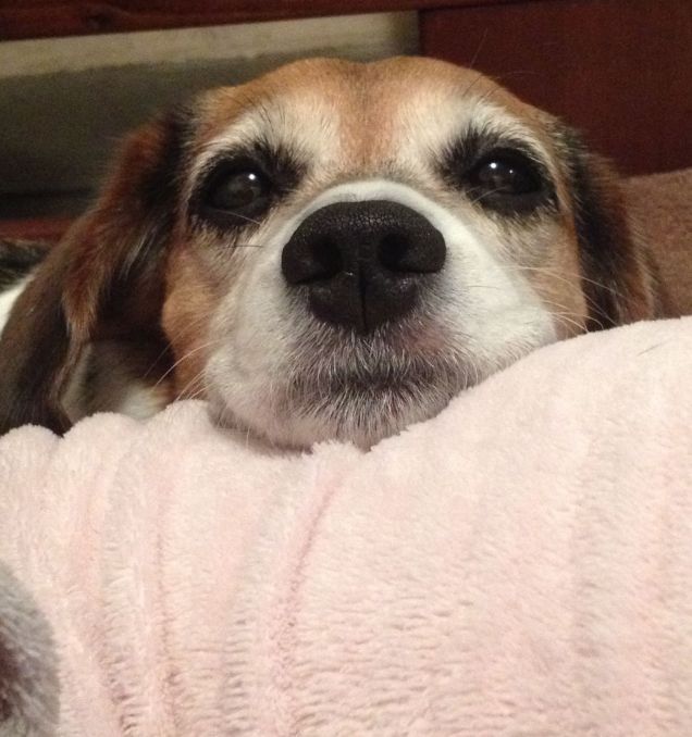 Gli occhi sono lo specchio dell anima 