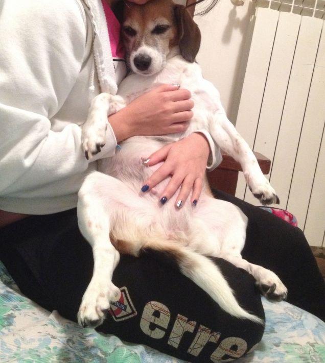 Sasha e le sue posizioni da ninna 