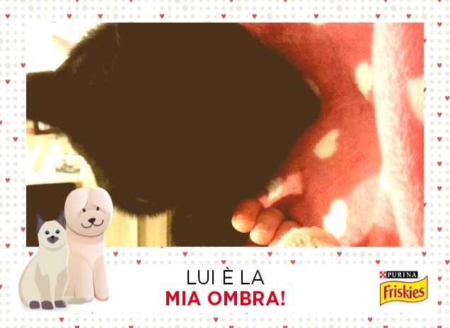 Due corpi,un'anima sola