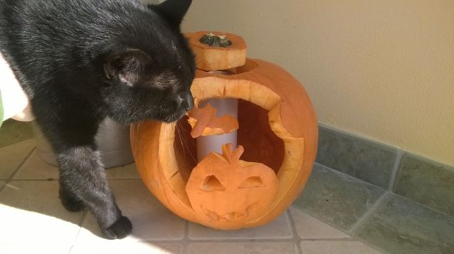 pieno stile halloween, gatto nero e zucca