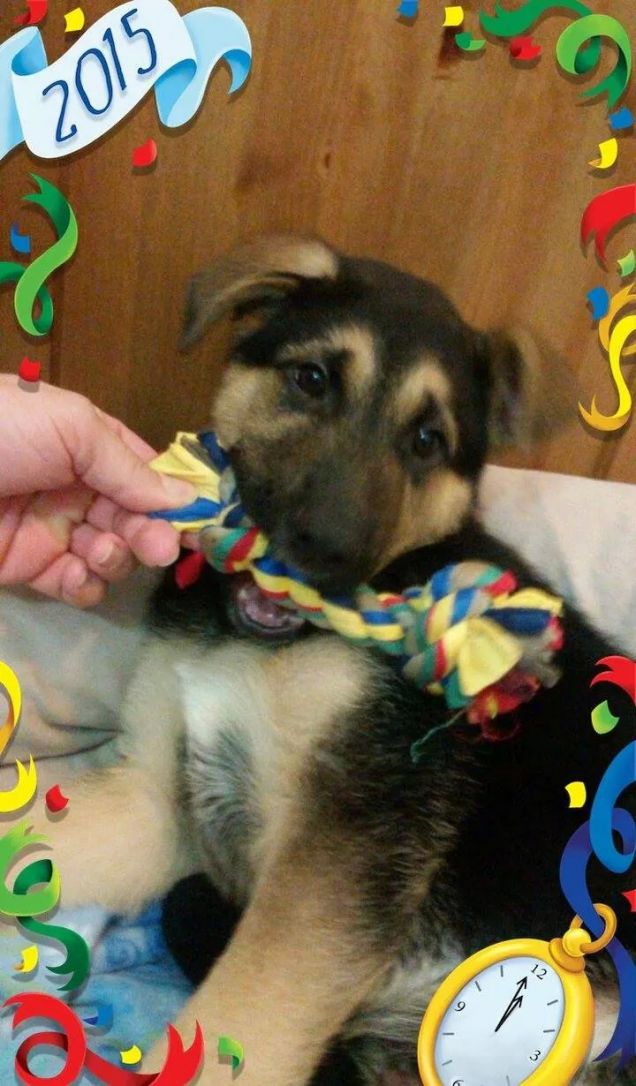 gioco con la mia cordina