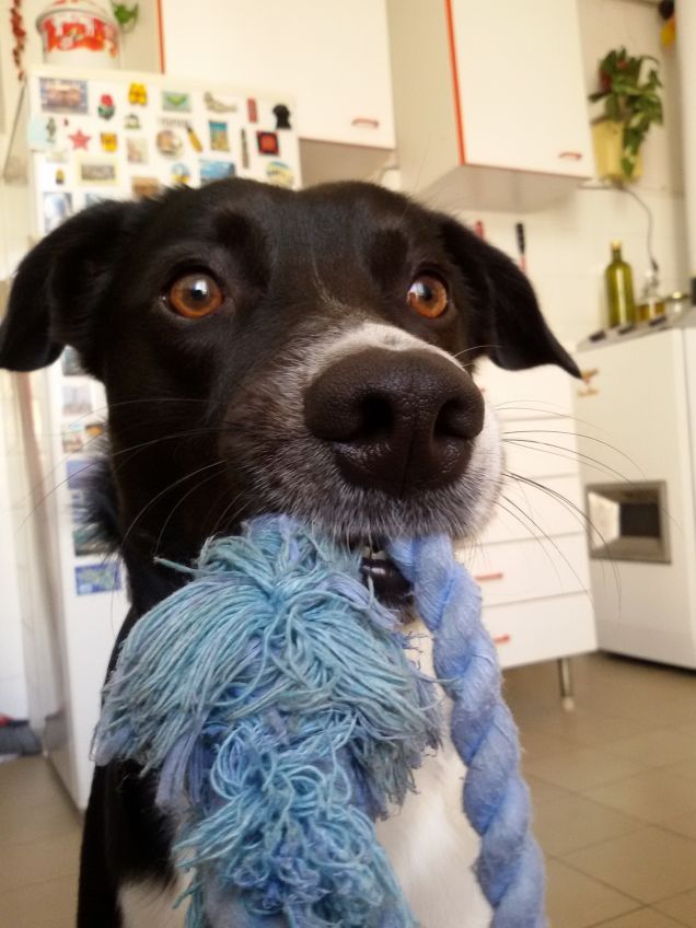 ares e i suoi giochi