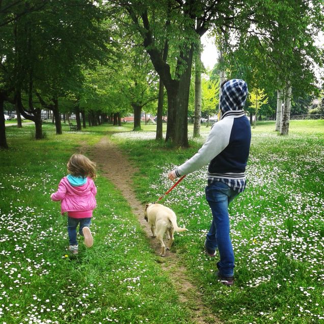 Cercasi amici disperatamente 