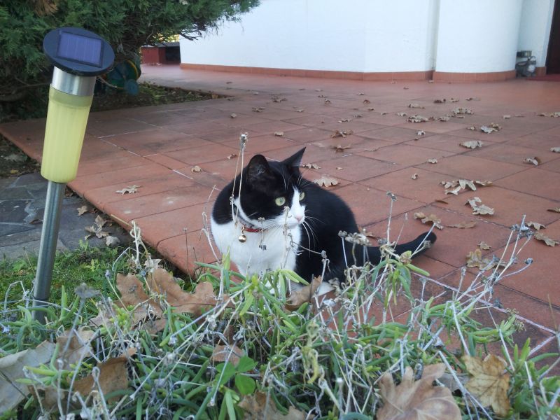 Tilly alla scoperta del mondo