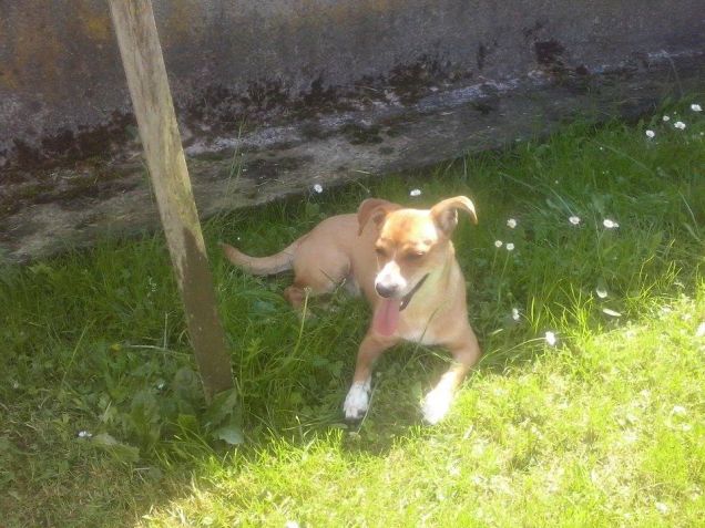 Margherita tra le margherite!