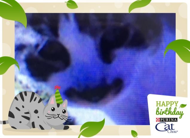 Giocando a nascondino 