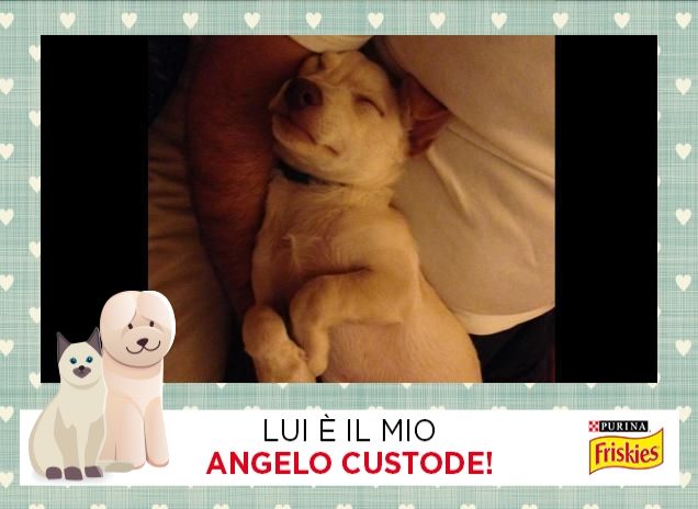 Amore senza fine!!!!